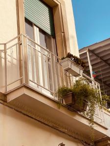 阿沃拉B&B Meliora Rooms的建筑里种植了盆栽植物的阳台