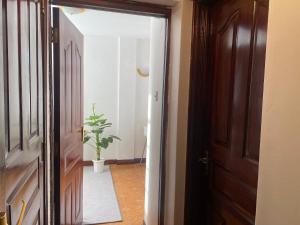 内罗毕Private,secure 1bedroom in Nairobi west的门,通往带盆栽的走廊
