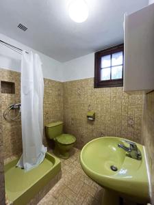 SénasDuplex de charme à Sénas的一间带绿色水槽和卫生间的浴室