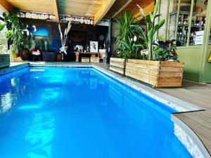 桑泰克Villa du Sieck 5 étoiles的一个拥有蓝色水和植物的大型游泳池