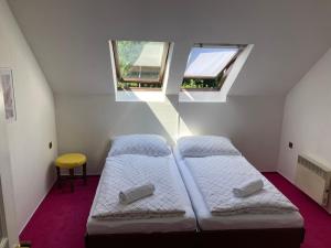 伊泽拉河畔亚布洛内茨Penzion Breuer的带2扇窗户的小客房内的2张床