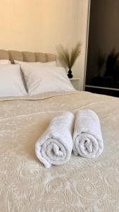 阿卢克斯内LILLE`S apartment in city center的床上放着两条毛巾