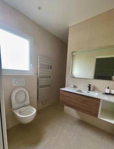 旺德尔港Villa plain pied vue terrasse的一间带卫生间、水槽和镜子的浴室