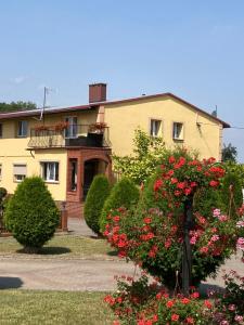 Agroturystyka Baza的前面有红色花的黄色房子