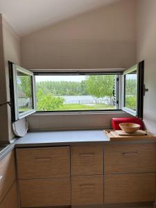 贝尔格莱德Kuca na Dunavu的一个小房子里带大窗户的厨房