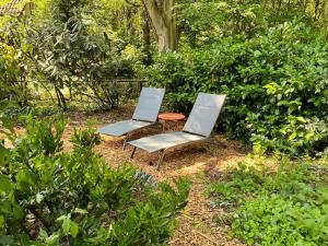 伊皮Huisje aan de Bosrand - Veluwe的花园内摆放着两把椅子和一张桌子