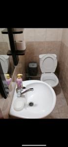斯特鲁加Lake apartments的浴室配有白色水槽和卫生间。