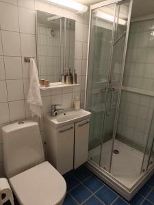 希尔科内斯SAGA Overnatting的带淋浴、卫生间和盥洗盆的浴室