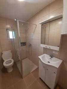 Gornja ToplicaApartman Predah Banja Vrujci的带淋浴、卫生间和盥洗盆的浴室