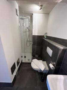 西奥-西布鲁克Truchtling Appartements的带淋浴、卫生间和盥洗盆的浴室