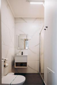 克卢日-纳波卡Pensiunea Brici Junior的白色的浴室设有卫生间和淋浴。