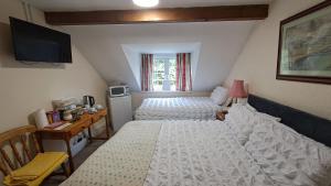 斯旺西Coynant Farm Guesthouse - Farm Park Stay的一间卧室配有两张单人床和一台电视机