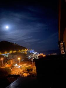 拉法洛维奇Apartman Drazen Rafailovici的夜晚城市与月亮的景观