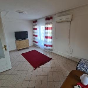 弗尔尼亚奇卡矿泉镇Vila Slavonija 2的一间带电视和红色地毯的客厅