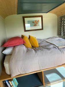 彭里斯Renison's Farm的一张床上有色彩缤纷的枕头