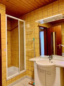 莱温Ferienwohnung Cäcilia im idyllischen Haus Kommeles - Leiwen an der Mosel的一间带水槽和淋浴的浴室
