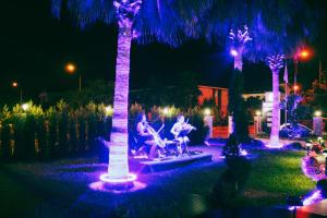 凯麦尔Edem Flower Hotel的两个人晚上坐在棕榈树下的长凳上