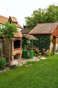 ŞoarşAndrada's House Soars的院子里有砖炉的房子