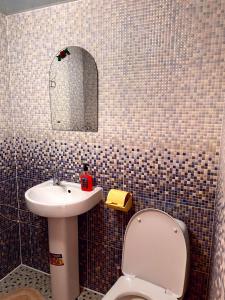 米库利钦У Болгарина的一间带水槽、卫生间和镜子的浴室