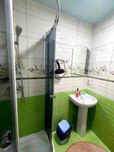 米库利钦У Болгарина的绿色和白色的浴室设有水槽和淋浴
