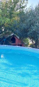 拉布Studio Apartman Tariba的一座绿树成荫的蓝色游泳池