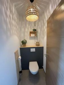 萨维尔纳Studio cosy et lumineux bike parking的一间带卫生间和吊灯的小浴室