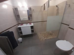 米洛Au 70的浴室配有卫生间、盥洗盆和淋浴。