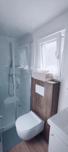 克罗诺维察Mobile home Greta的带淋浴、卫生间和盥洗盆的浴室