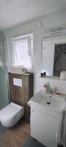 克罗诺维察Mobile home Greta的浴室设有白色水槽和镜子