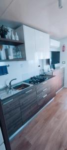 克罗诺维察Mobile home Greta的厨房配有木制橱柜和炉灶烤箱。