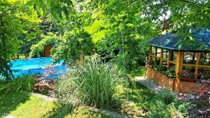 哈季奇Sarajevo Chalet的花园设有凉亭,毗邻游泳池