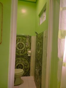 BatuanBARRIL GREEN HOMESTAY的一间带卫生间和绿色墙壁的浴室