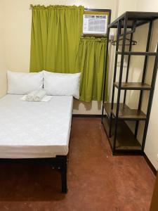 宿务ACHIEVERS DORMITORY的一间卧室设有一张带梯子和绿色窗户的床。