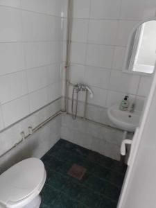 诺弗多伊兰Apartmant Lidija的一间带卫生间和水槽的浴室
