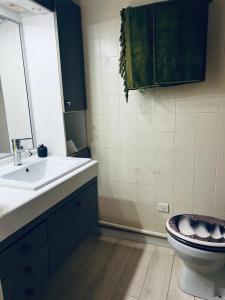 帕拉瓦莱弗洛RAINIE APPART的一间带水槽、卫生间和镜子的浴室