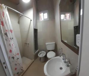 波特雷里约斯CABAÑAS RINCON DEL PLATA的一间带水槽、卫生间和淋浴的浴室