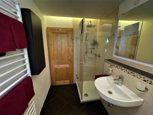 明斯特塔尔View House, Schauinsland, Black Forrest的一间带水槽、淋浴和镜子的浴室