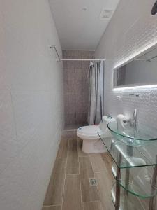 拉乌尼翁INGRID LOFTS的一间带卫生间和玻璃水槽的浴室