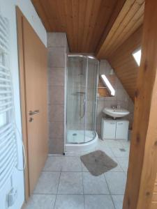 FriolzheimCosy Retreat in Friolzheim的带淋浴和盥洗盆的浴室