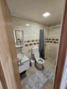 维索科Delimustafić apartmani的浴室配有卫生间、盥洗盆和淋浴。