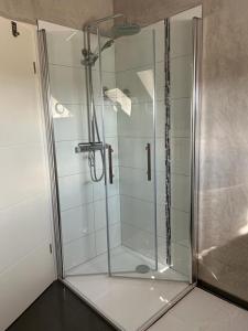 沃尔芬比特尔Wolfenbüttler Apartment的浴室里设有玻璃门淋浴