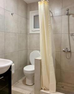 拉安戈斯图拉镇Casita Silvestre y Casa Rosa的浴室配有卫生间、盥洗盆和淋浴。