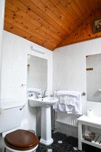 卡赫达尼The Olde Forge B & B的浴室配有卫生间、盥洗盆和浴缸。