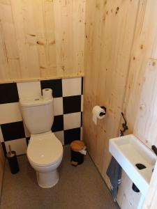 阿赫特克克Kampeerplaats Glamping Essenhof的一间带卫生间和水槽的浴室