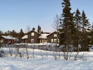 EggedalLuxurious, well-Equipped and modern Cabin by the Cross-Country Ski Trails的雪中的房子,前面有树木