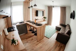 苏恰瓦Cosy apartment Bucovina的厨房以及带桌子和沙发的客厅。