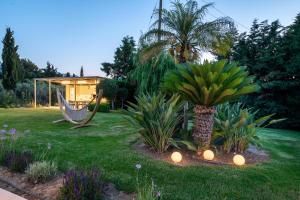 科斯镇Phillyrėa Luxury Villas的一个带吊床和棕榈树的庭院