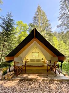 OplotnicaGlamping Tent Water Village Rogla的树林里的帐篷,配有一张床和两把椅子
