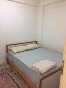 艾瓦勒克SARIMSAKLI MEYDANINDA DENİZE 0 1+1 EŞYALI DAİRE的一间卧室配有一张带两个枕头的床