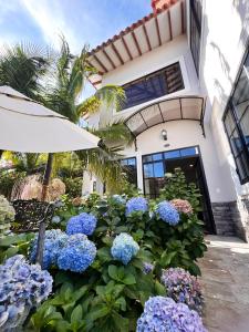 瓜塔佩1714 Hotel Boutique Guatapé的一座花园,在房子前面种着蓝色的花朵